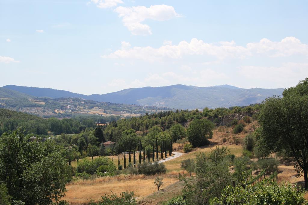 Un Petit Paradis Castiglione della Valle Dış mekan fotoğraf